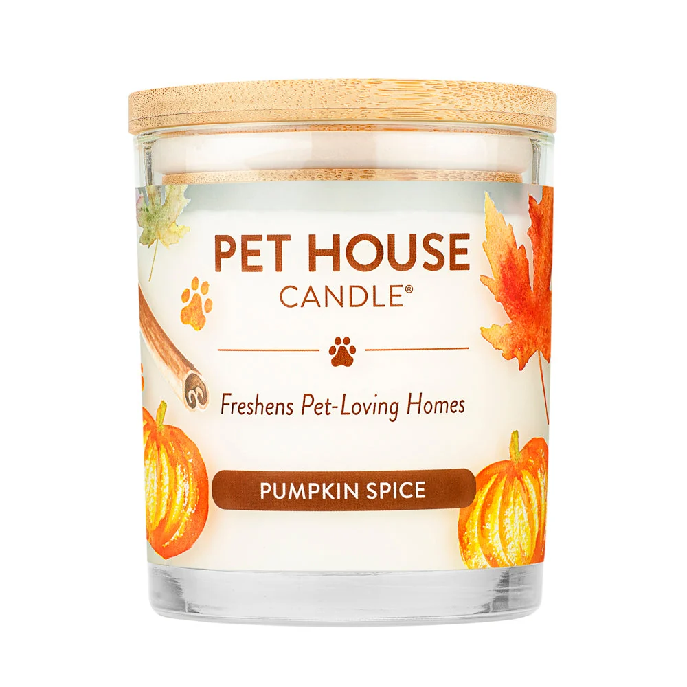 Convenient Pumpkin Spice Candle Smooth