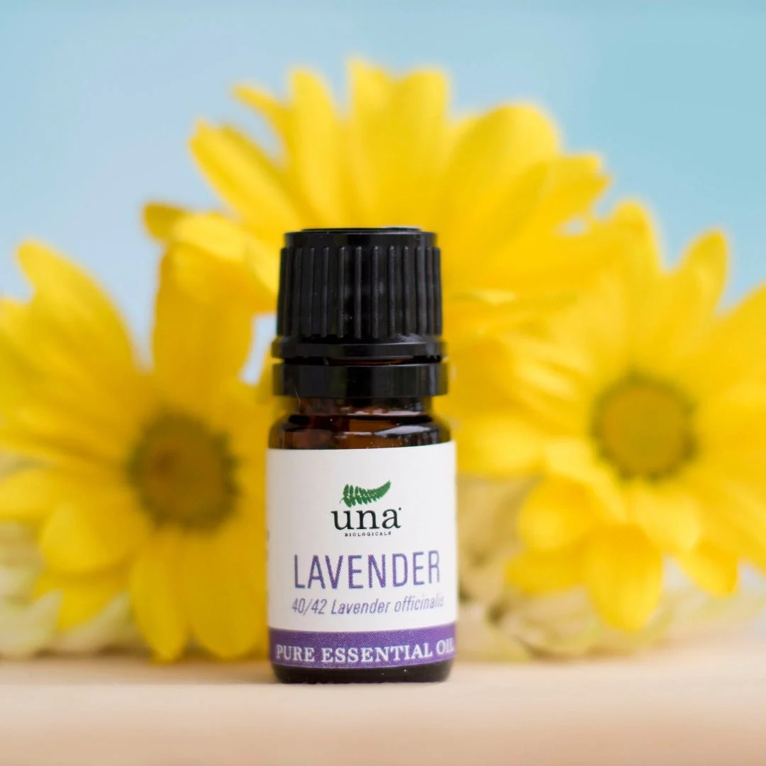 Elite Lavender Essential Oil Pure Essential Oil Una Biologicals Lightweight