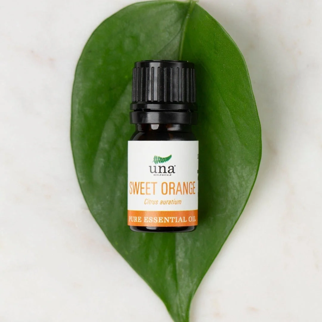 Smooth Sweet Orange Essential Oil Pure Essential Oil Una Biologicals Premium Material